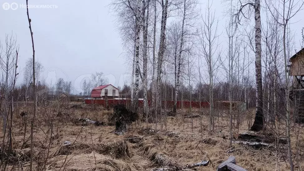 Участок в Нижнетавдинский район, СНТ Сочинские (9 м) - Фото 0