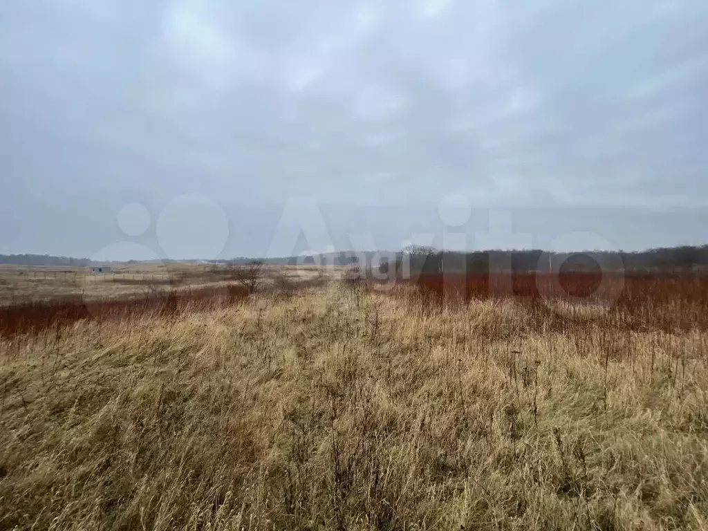 Участок 6 сот. (СНТ, ДНП) - Фото 0
