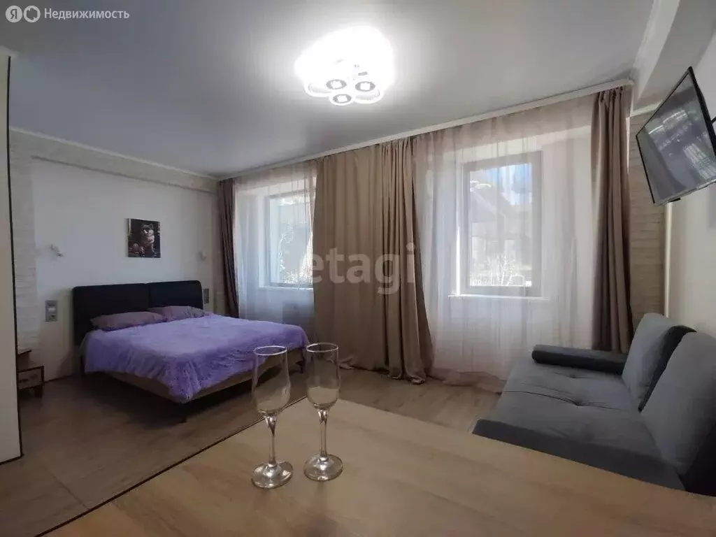 Квартира-студия: Сочи, Курортный проспект, 96Г (28.9 м) - Фото 1