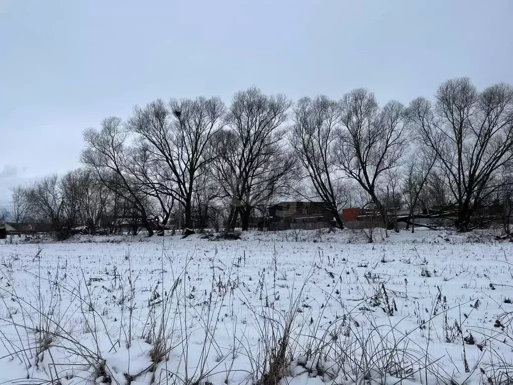 Участок в Калужская область, Жуковский муниципальный округ, д. ... - Фото 1