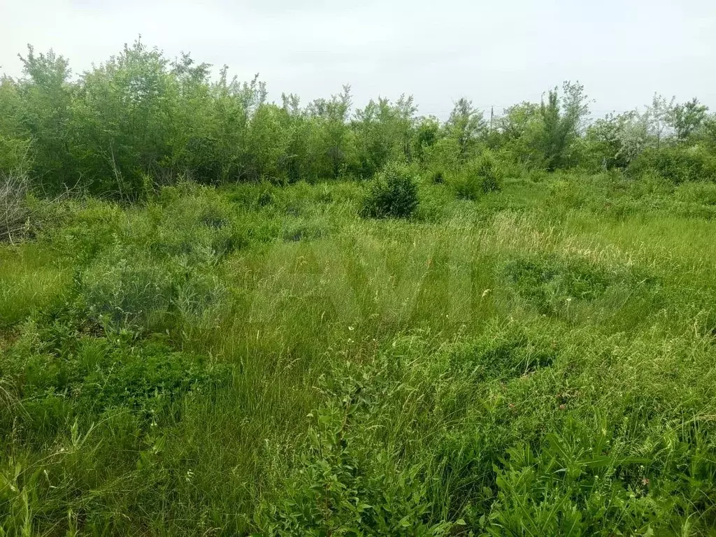 Участок 7 сот. (СНТ, ДНП) - Фото 0