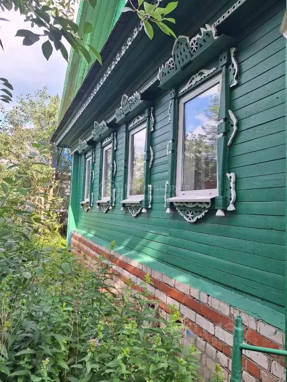 Дом в Нижегородская область, Бор ул. Чернышевского, 21 (65 м) - Фото 1