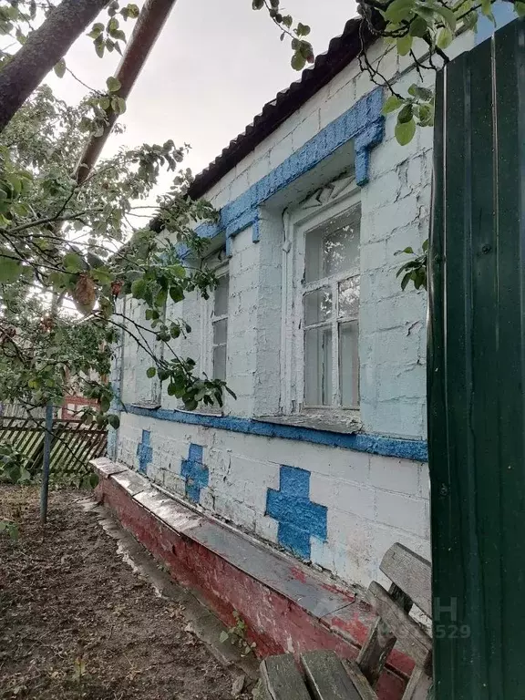 Дом в Белгородская область, Яковлевский муниципальный округ, с. Старая ... - Фото 0