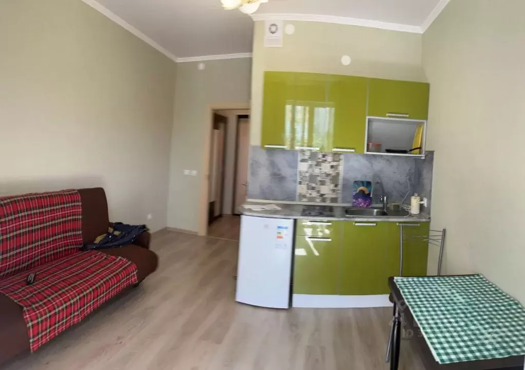 Студия Ленинградская область, Всеволожский район, Заневское городское ... - Фото 1