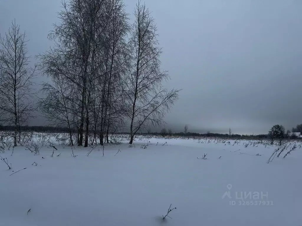 Участок в Московская область, Ступино городской округ, д. Чиркино  ... - Фото 1