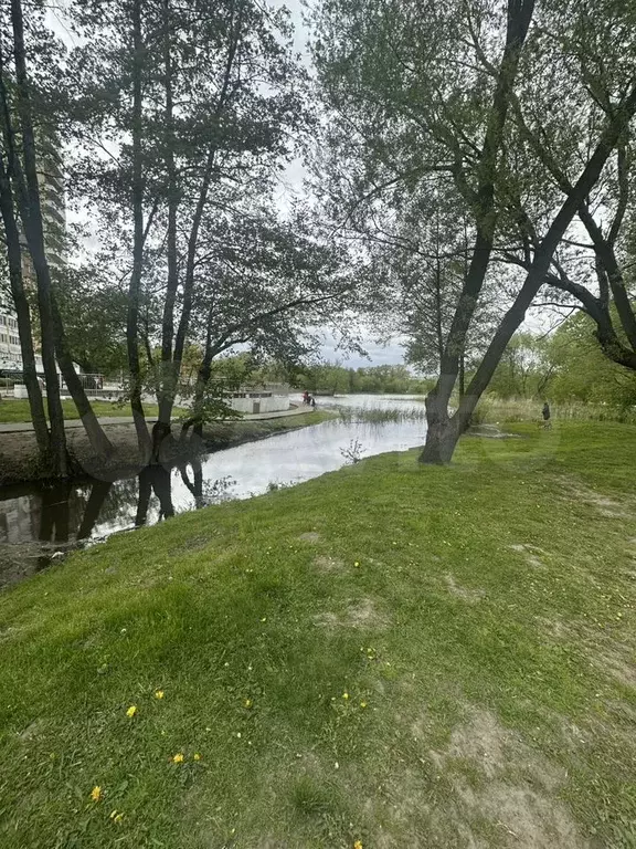 2-к. квартира, 64 м, 1/8 эт. - Фото 0