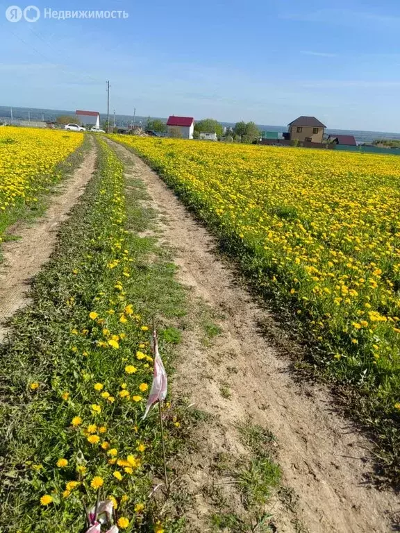 Участок в Троицкое, село Троицкое (1000 м) - Фото 0