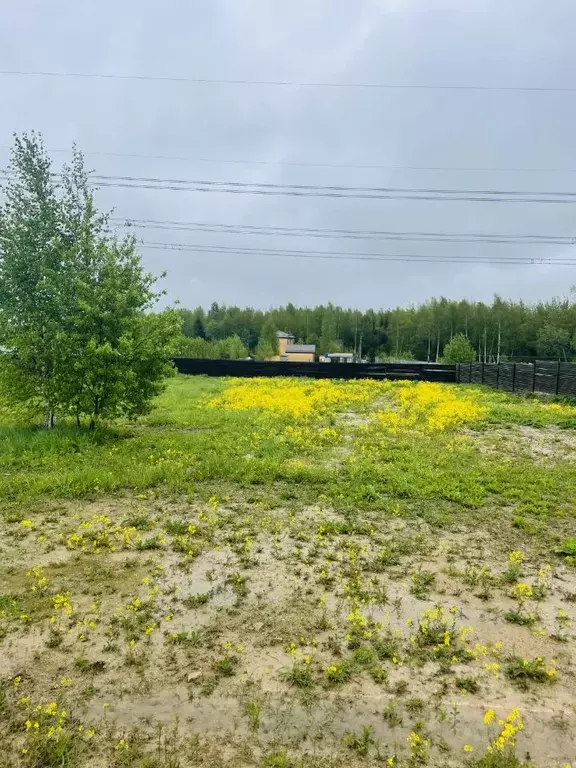 Участок в Московская область, Солнечногорск городской округ, Дачной ... - Фото 0