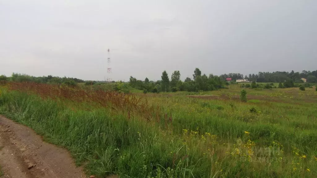 Участок в Московская область, Рузский муниципальный округ, д. ... - Фото 0