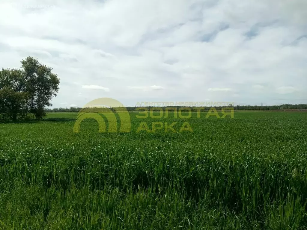 Участок в Темрюк, садово огородное товарищество Стимул (8 м) - Фото 0