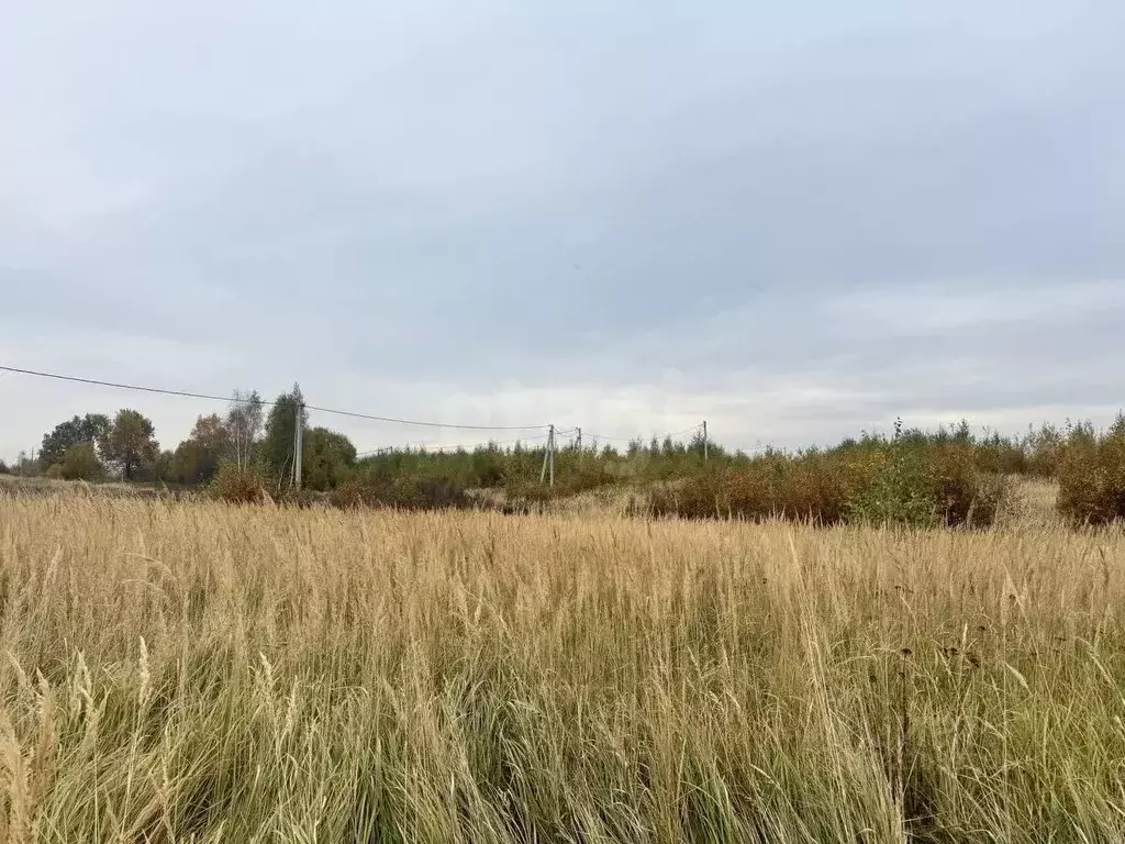 Участок в Смоленская область, Смоленский муниципальный округ, д. Лубня ... - Фото 2