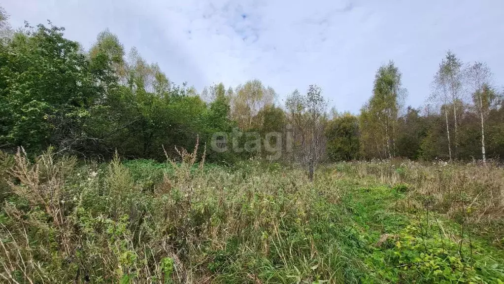 Участок в Ярославская область, Мышкинский муниципальный округ, с. ... - Фото 1