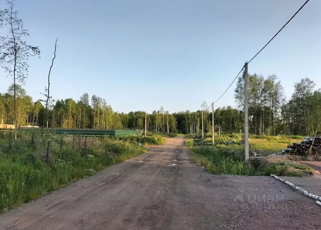 Участок в Ленинградская область, Кировский район, Синявинское ... - Фото 1