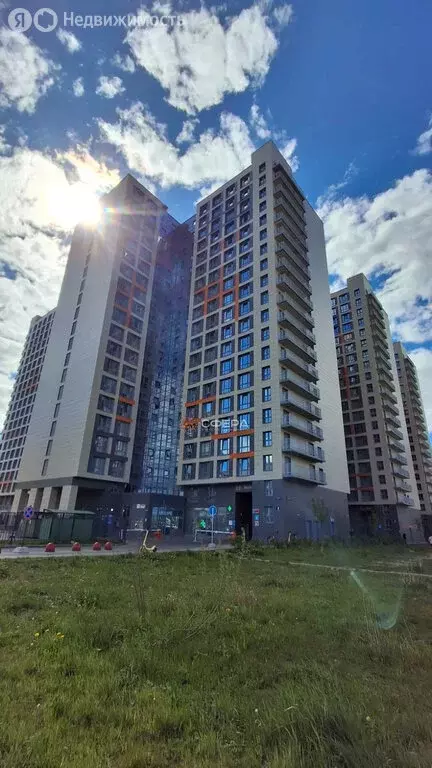 Квартира-студия: посёлок Парголово, Толубеевский проезд, 8к2 (22 м) - Фото 0