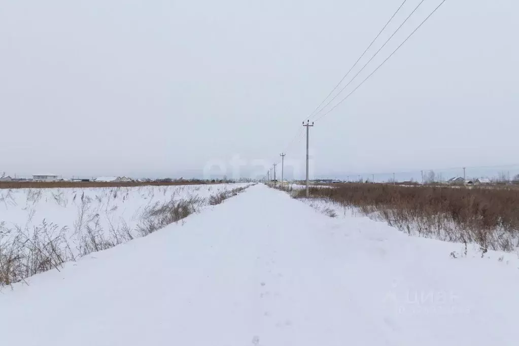 Участок в Тюменская область, Тюменский муниципальный округ, Садовые ... - Фото 2