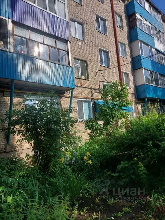 1-к кв. Башкортостан, Бирск Интернациональная ул., 116Г (31.3 м) - Фото 0