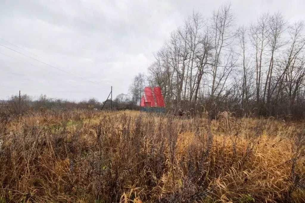 Участок в Ярославская область, Некрасовский муниципальный округ, д. ... - Фото 1