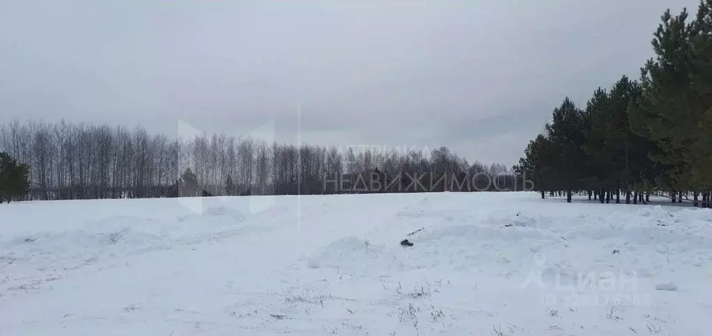 Участок в Тюменская область, Нижнетавдинский район, д. Московка, Чехов ... - Фото 1