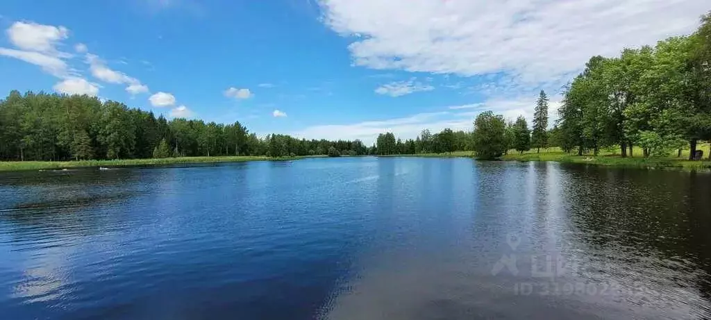 Дом в Ленинградская область, Гатчинский район, с. Никольское ш. ... - Фото 1