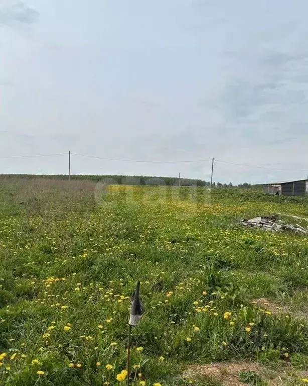 Участок в Калужская область, Малоярославецкий муниципальный округ, с. ... - Фото 1