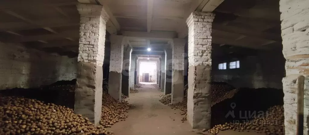 Склад в Новосибирская область, Искитимский район, Чернореченский ... - Фото 1