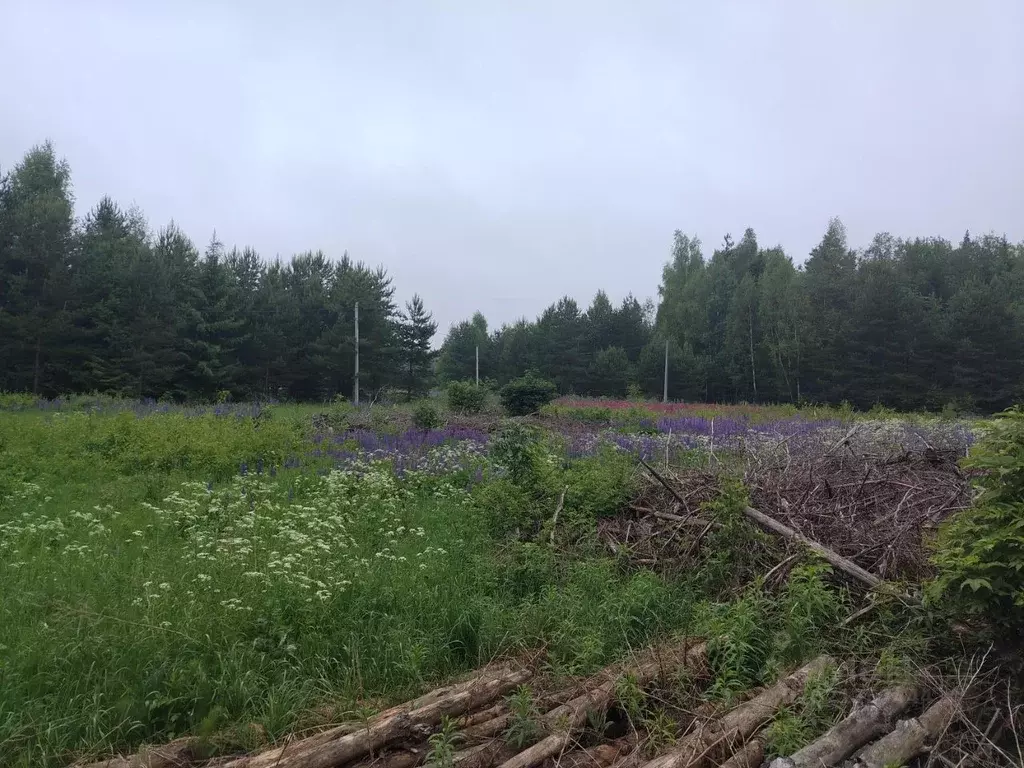 Участок в Костромская область, Судиславский район, Расловское с/пос, ... - Фото 1
