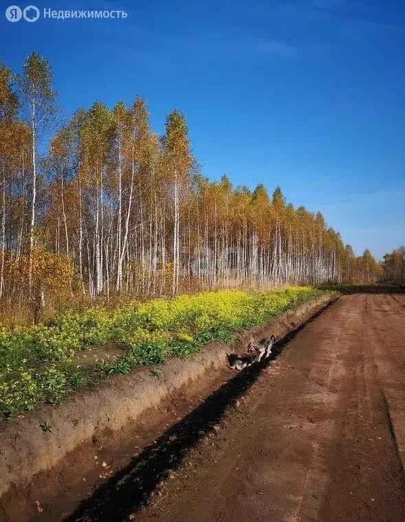 Участок в Мошковский район, коттеджный посёлок Недача (9.8 м) - Фото 1