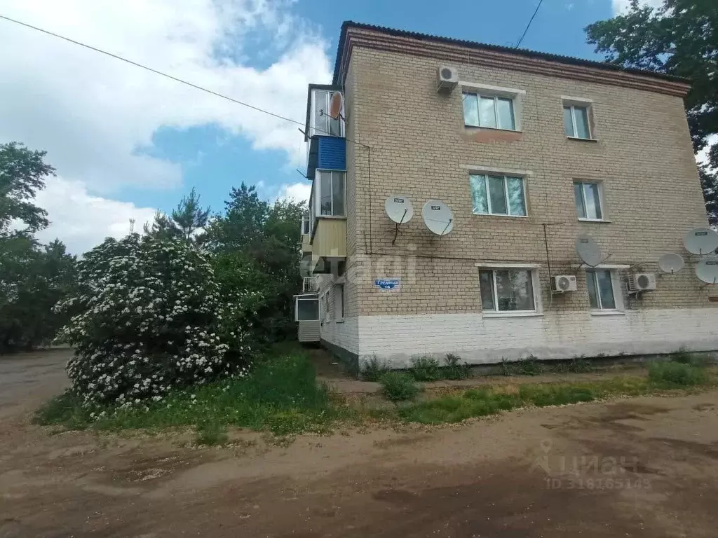 2-к кв. Амурская область, с. Тамбовка ул. Трудовая, 16 (42.2 м) - Фото 0