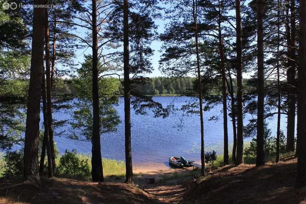 Участок в Псковская область, Гдовский муниципальный округ, ... - Фото 1