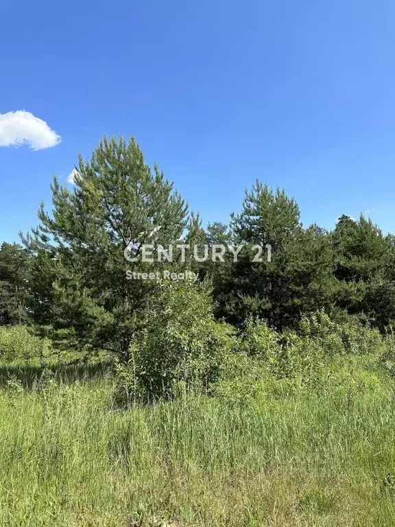 Участок в Московская область, Красногорск городской округ, пос. ... - Фото 1