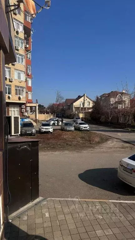 Помещение свободного назначения в Краснодарский край, Анапа Алексеевка ... - Фото 1