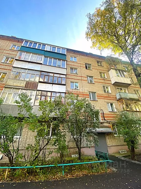 2-к кв. Пензенская область, Пенза ул. Чкалова, 49 (48.0 м) - Фото 0