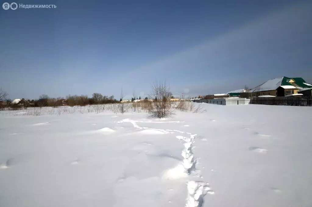 Участок в Тюменская область, Заводоуковский муниципальный округ, село ... - Фото 2