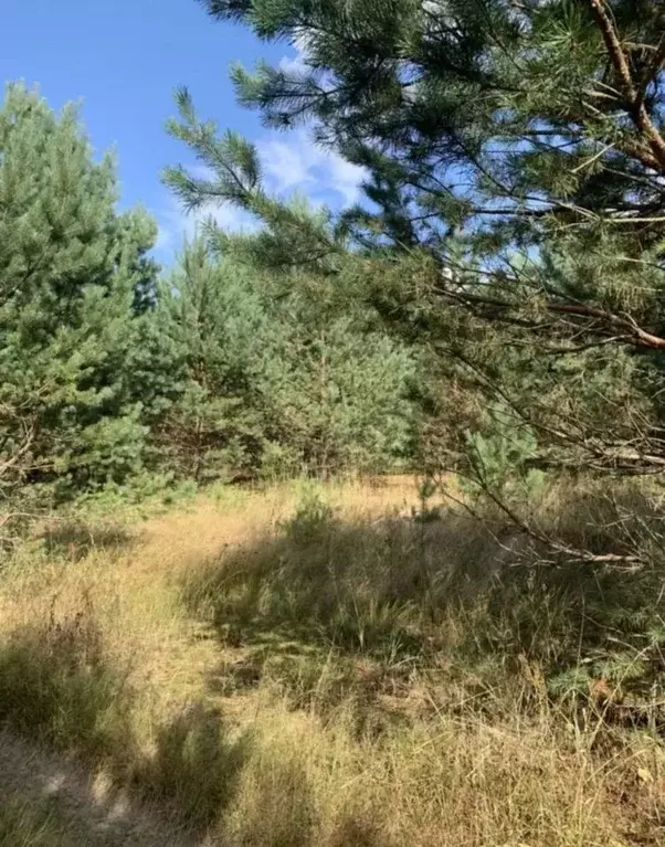 Участок в Тульская область, Суворовский район, Северо-Западное с/пос, ... - Фото 2