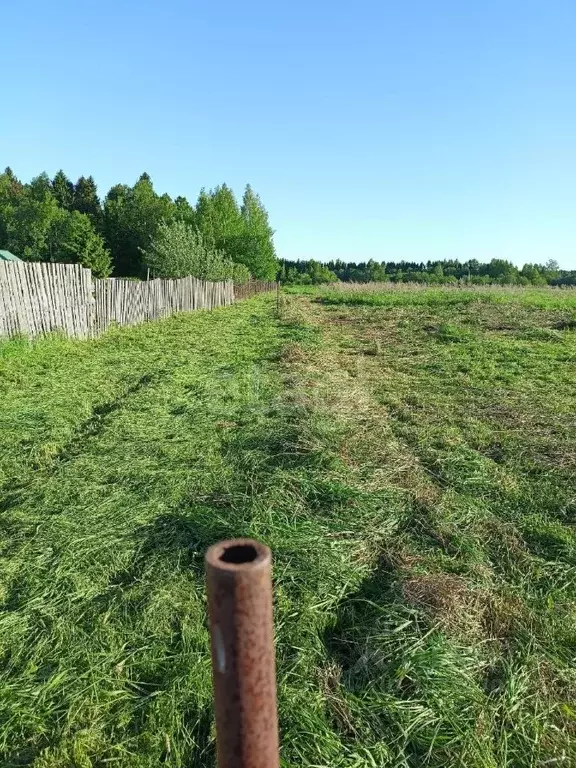 Участок в Вологодская область, д. Порошино  (12.21 сот.) - Фото 2
