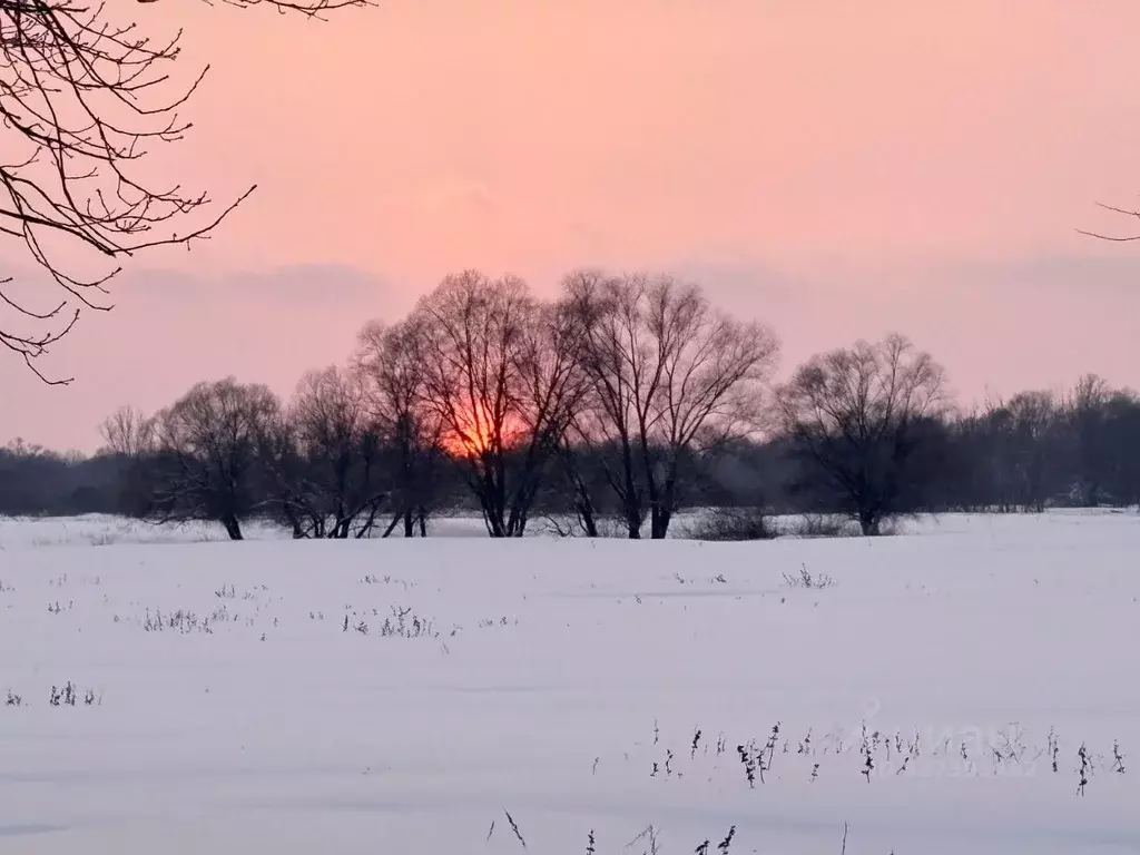Гараж в Брянская область, Брянск просп. Ленина, 8А (26 м) - Фото 2