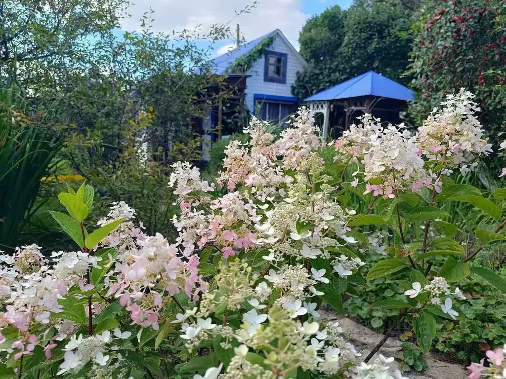 Дом в Тюменская область, Тюмень Домостроитель СНТ, ул. Ромашка (24 м) - Фото 1