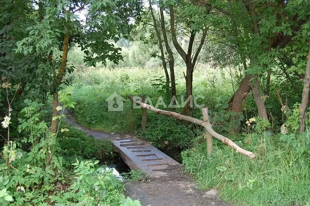 Участок в Воронежская область, Нижнедевицкий район, Верхнетуровское ... - Фото 2
