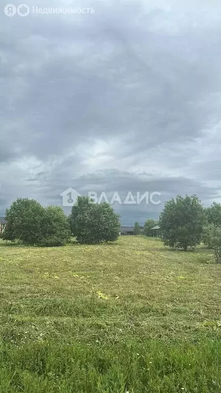 Участок в Московская область, Можайский муниципальный округ, КП Ларсен ... - Фото 1