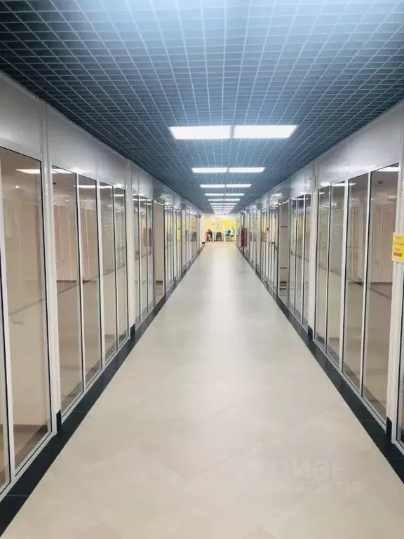 Офис в Владимирская область, Владимир ул. Куйбышева, 16 (900 м) - Фото 0