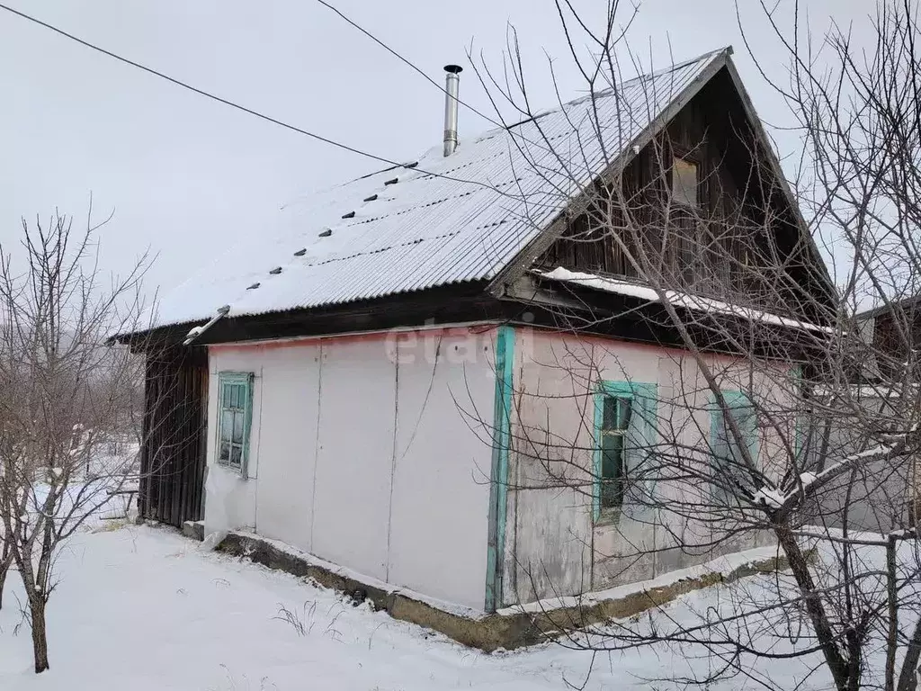 Дом в Приморский край, Арсеньев ул. Арсеньева (30 м) - Фото 1