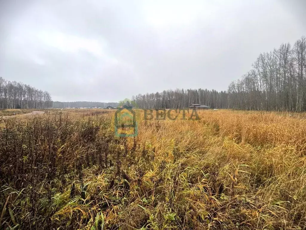 Участок в Ленинградская область, Приозерский район, Красноозерное ... - Фото 1