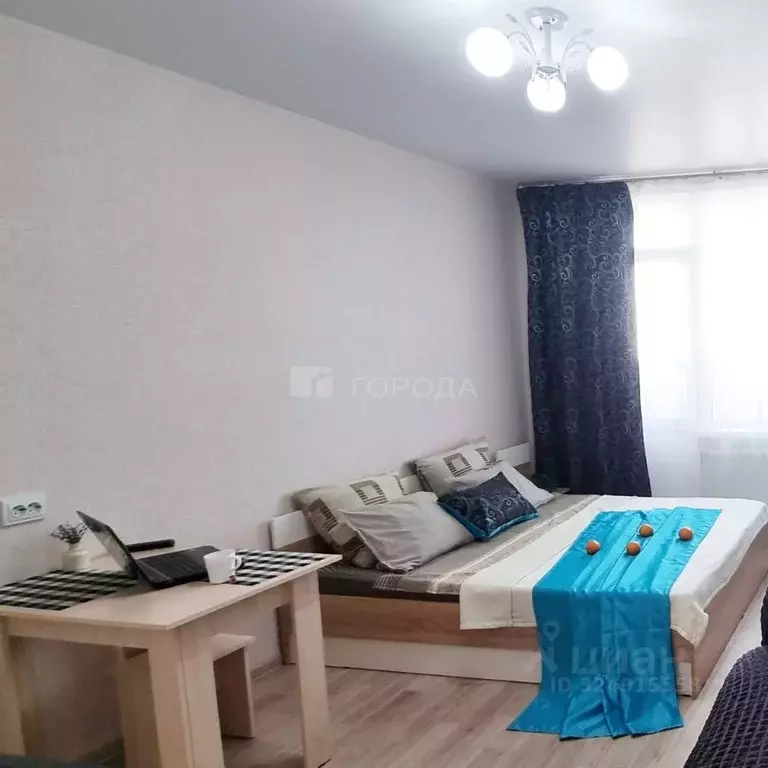 Студия Новосибирская область, Новосибирск ул. Петухова, 162 (24.0 м) - Фото 1