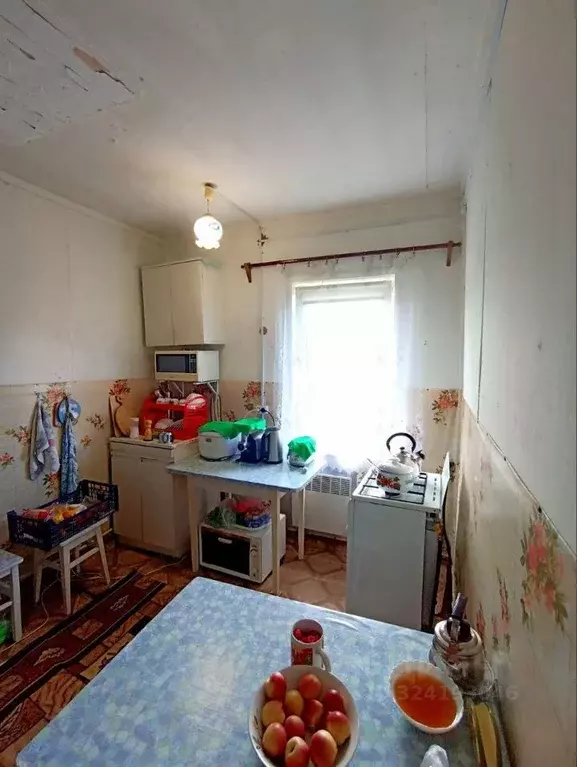 2-к кв. Пермский край, Карагайский муниципальный округ, д. Ярино ул. ... - Фото 2