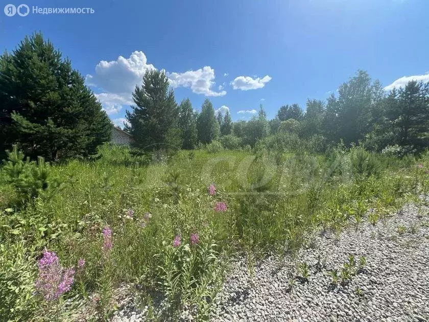 Участок в село Перевалово, коттеджный посёлок Родники (25.5 м) - Фото 1