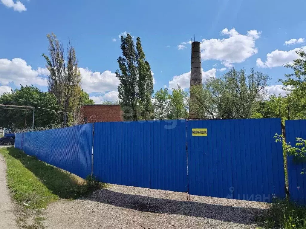 Участок в Белгородская область, Строитель Яковлевский городской округ, ... - Фото 0