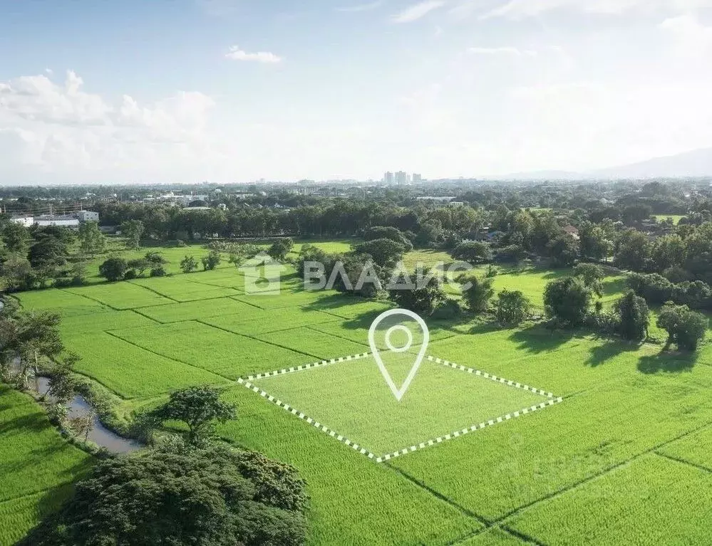 Участок в Московская область, Раменский муниципальный округ, 25-9 кв-л ... - Фото 1