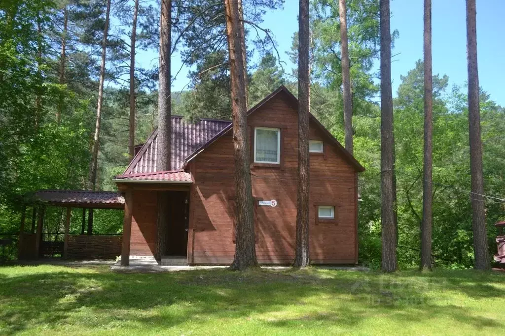 Дом в Алтай, Майминский район Р-256 Чуйский тракт, 495-й км (50 м) - Фото 1