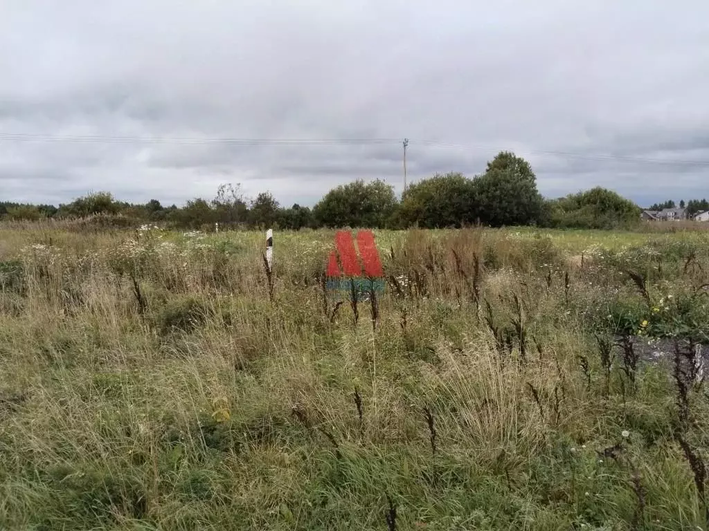 Участок в Ярославская область, Ярославский муниципальный округ, д. ... - Фото 2