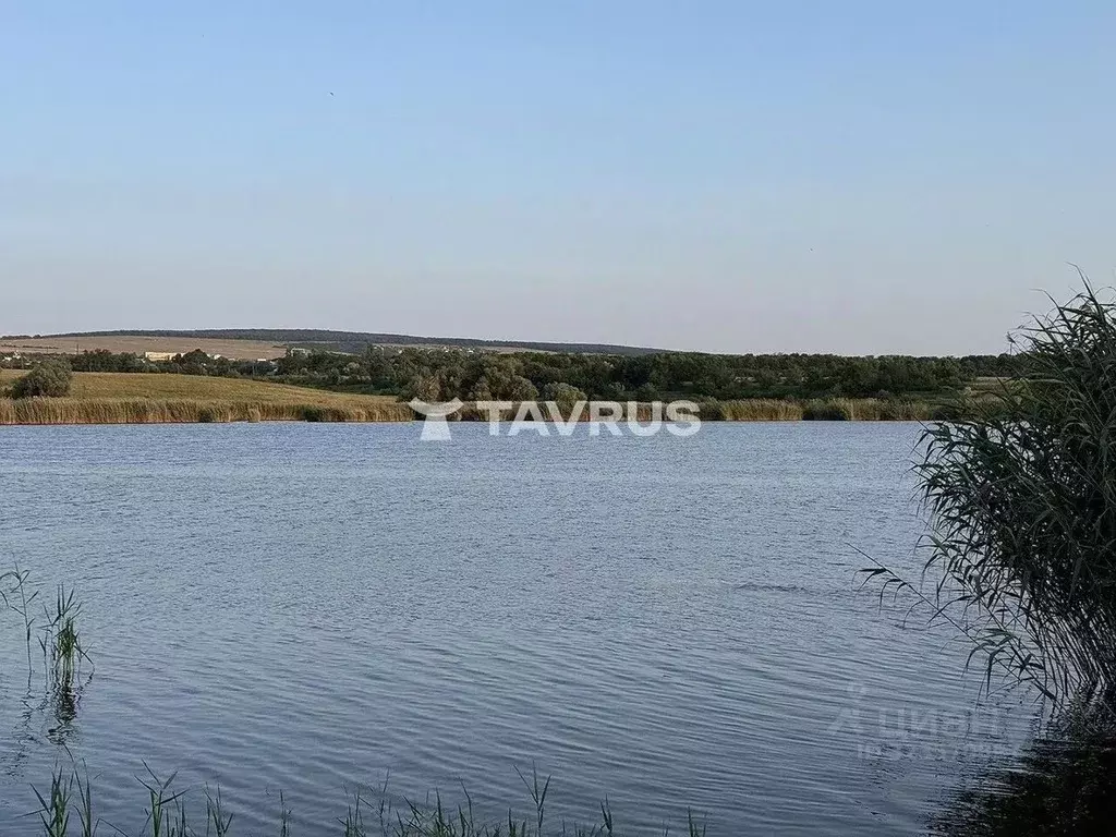 Участок в Крым, Симферопольский район, Чистенское с/пос, Родничок СПК ... - Фото 2